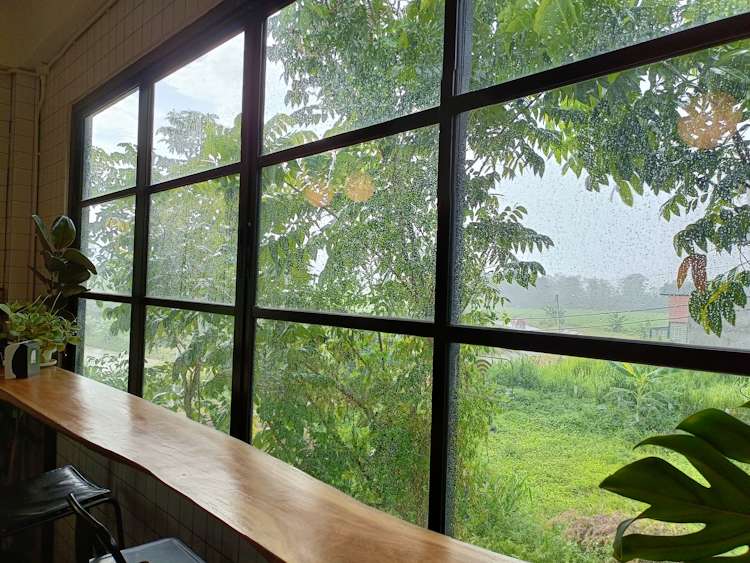 Tees coffee at chiang rai 04