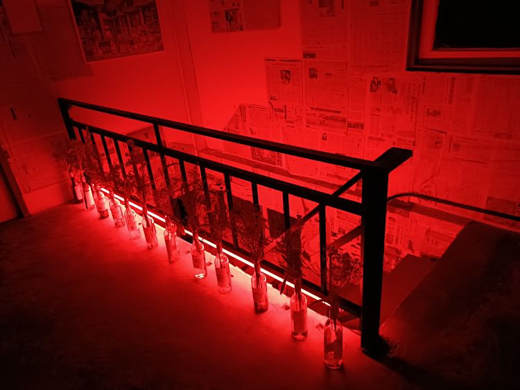 The one rooftop phan 06