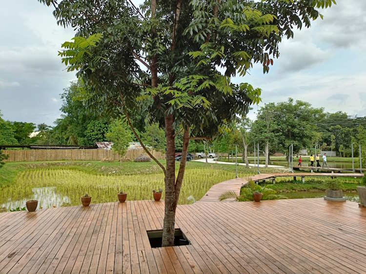 Good day craft beer bar 07