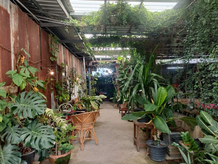 Harmony Coffee Roastery