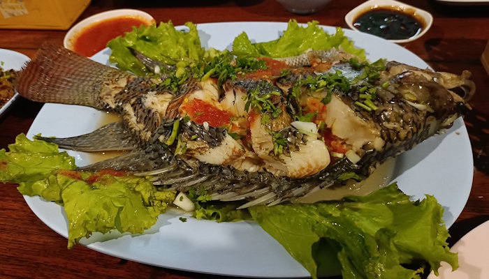 Tawandaeng na phan 11