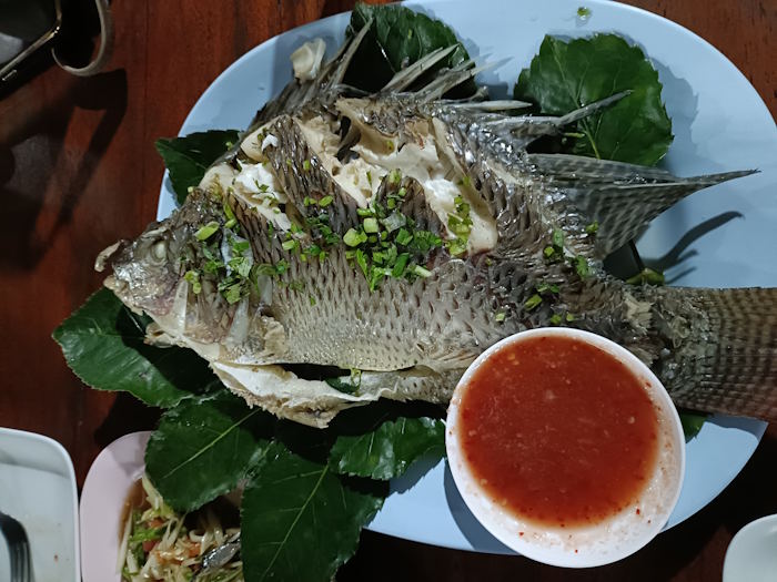 Tawandaeng na phan 14