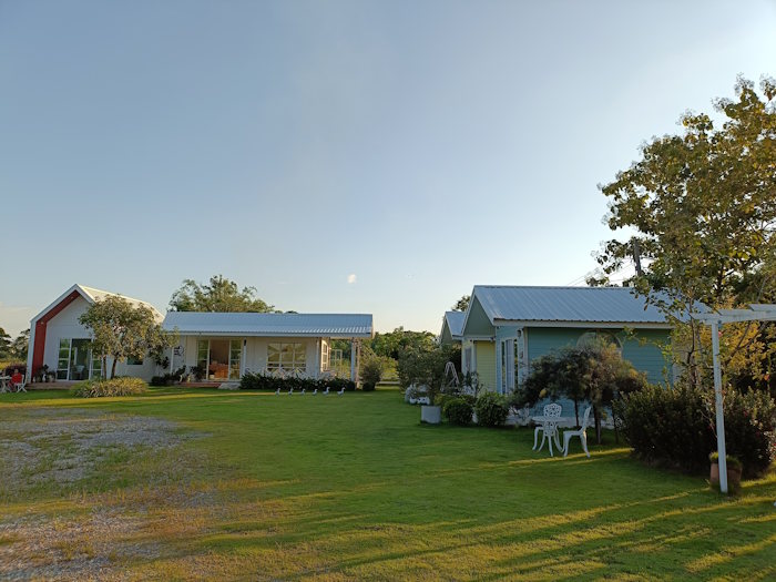 And an ant caffe and bakery 01