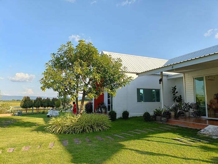 And an ant caffe and bakery 08