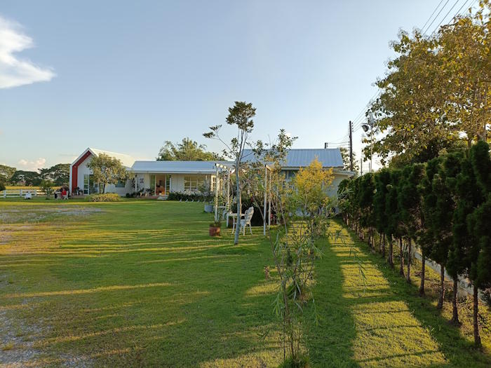 And an ant caffe and bakery 19