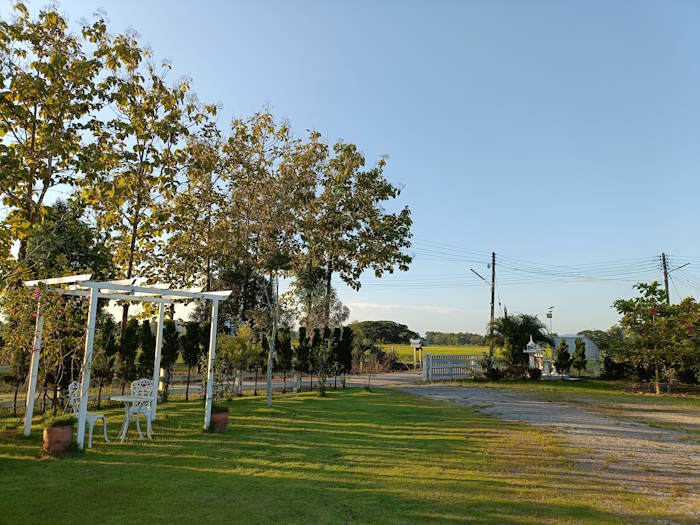 And an ant caffe and bakery 25