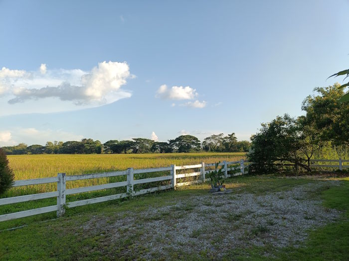 And an ant caffe and bakery 29