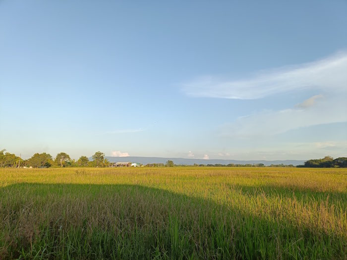 And an ant caffe and bakery 31