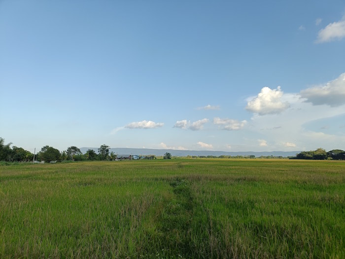 And an ant caffe and bakery 32