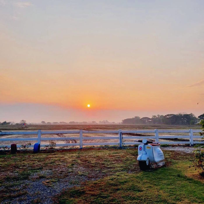 And an ant caffe and bakery 35