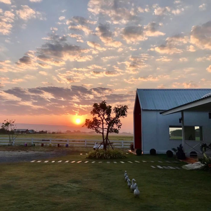 And an ant caffe and bakery 36